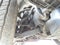 2017 Chevrolet Colorado 4WD LT