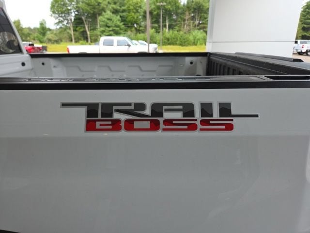2019 Chevrolet Silverado 1500 Custom Trail Boss