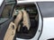 2009 Chevrolet Traverse LTZ