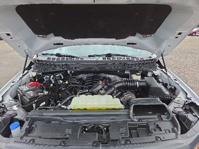 2024 Ford F-150 Tremor