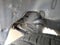 2019 Toyota Tundra Limited 5.7L V8