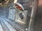 2020 Toyota Tacoma 4WD SR5