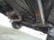 2021 Toyota Tacoma 4WD TRD Sport